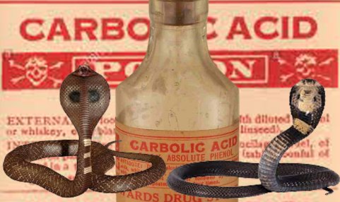 snake-and-carbolic-acid